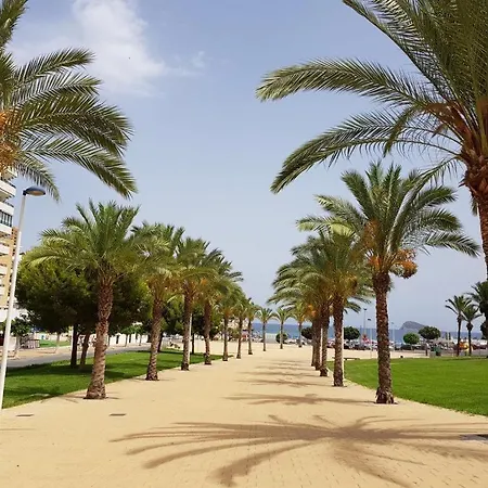 Daire Cala De Benidorm Holidays *